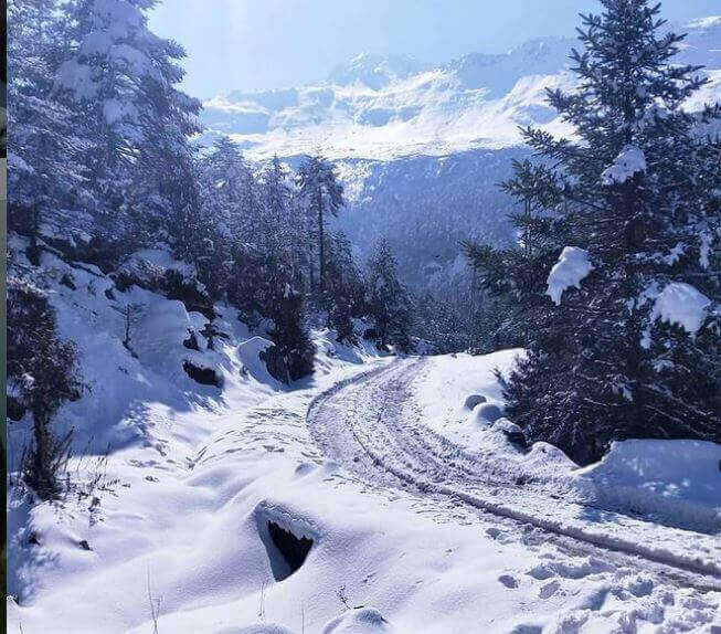 Snow at lachung.jpg